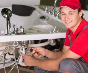 About Plumbers Pros Blue Eye, MO